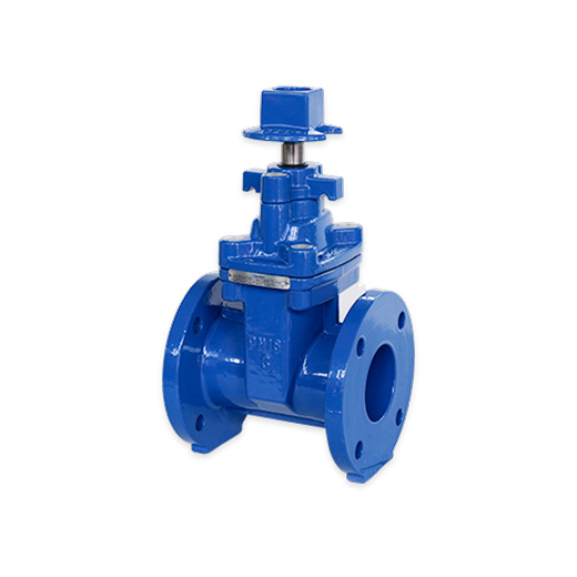 Gate Valve