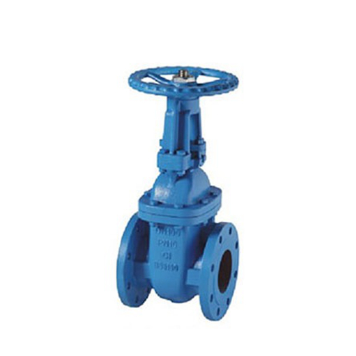 Cast Iron Gate Valve