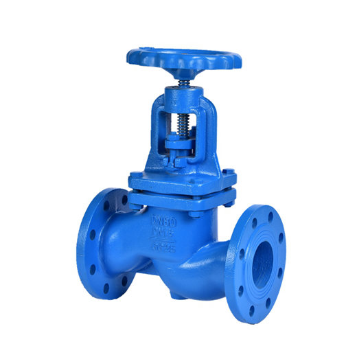 Globe Valves