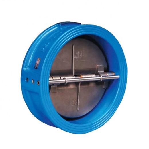 Disco Check Valve