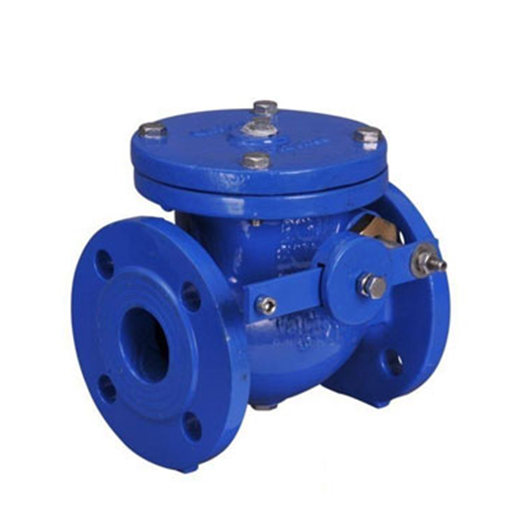 Check Valves