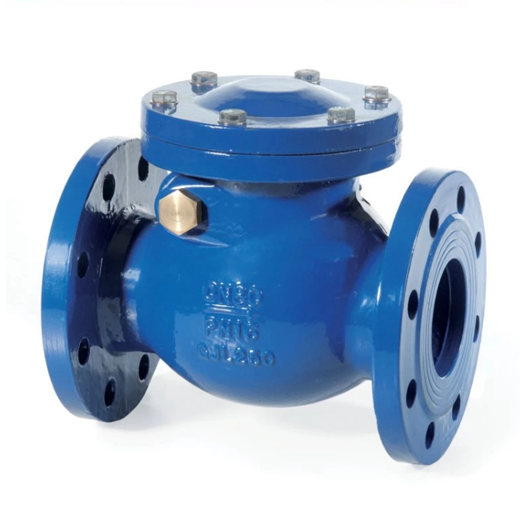 Check Valves