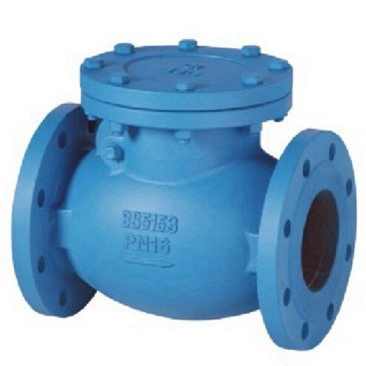 Check Valves