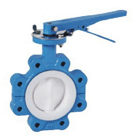 Ptfe Seated Butterfly Valve