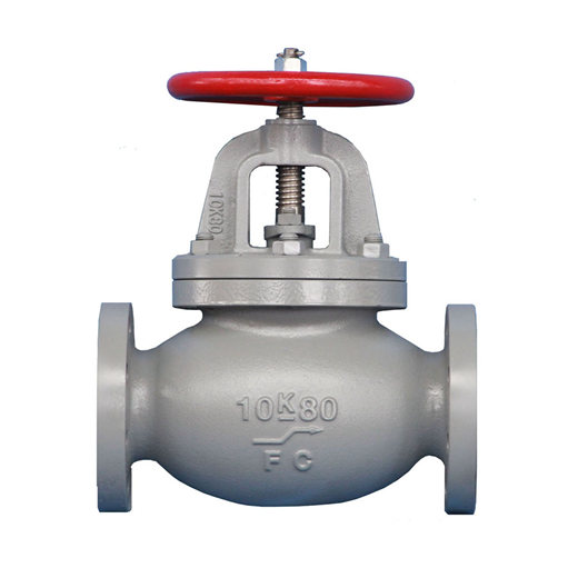 Globe check valves