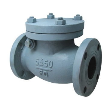 marine check valve