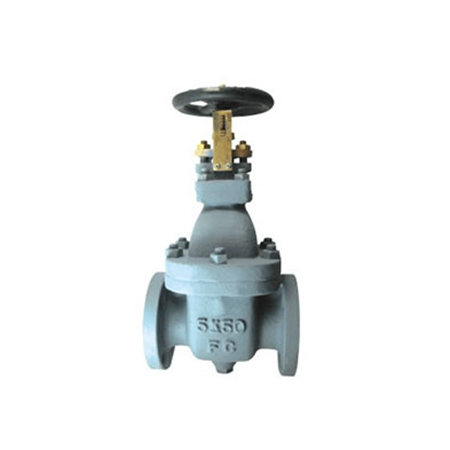 gate valve