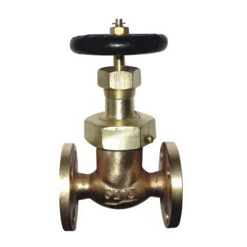 Globe valves