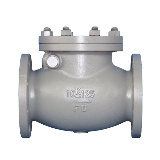 JIS F 7373 Cast rion 10K swing check valve