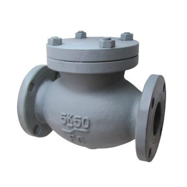 Check globe valve