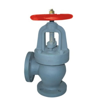 Globe check valves