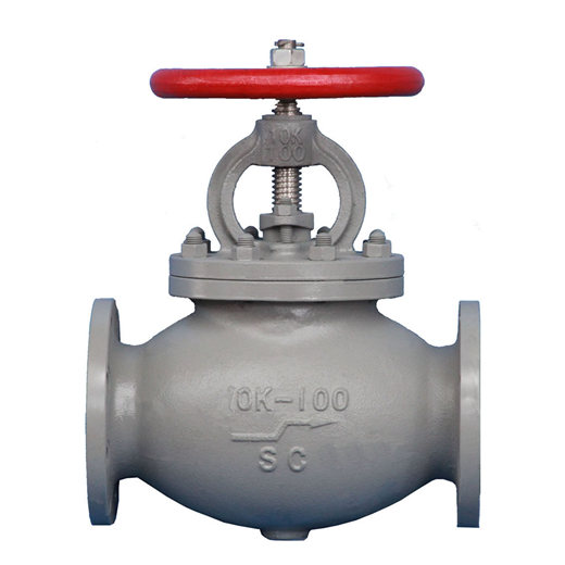 check globe valve