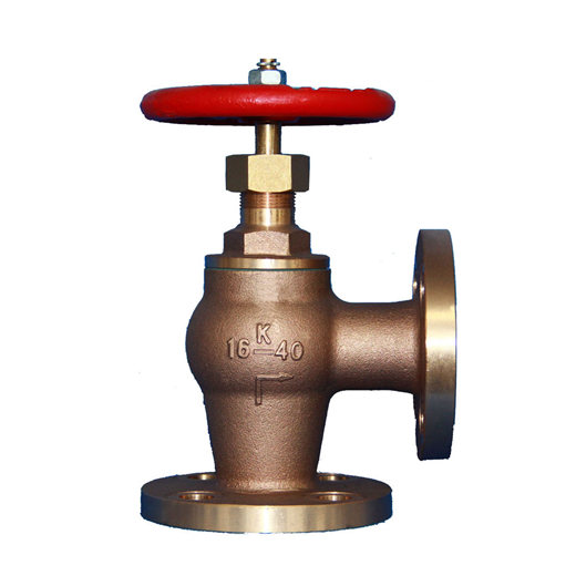 check angle valve