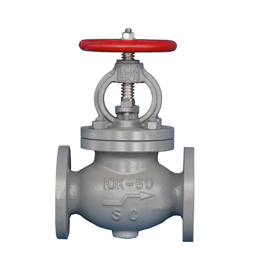 check globe valve