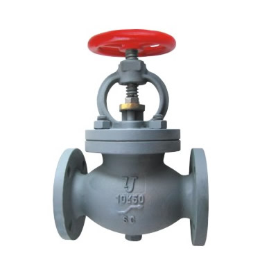 check globe valve