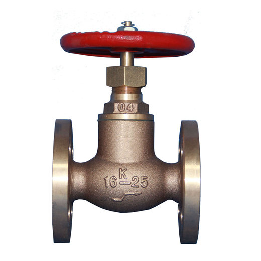 Bronze Globe check valves