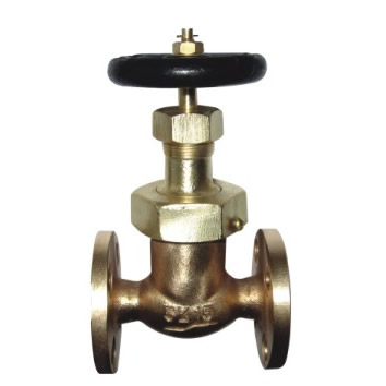 check angle valve