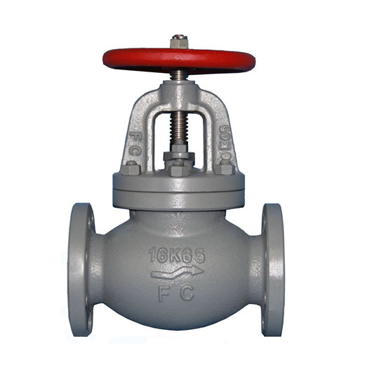 Globe check valves