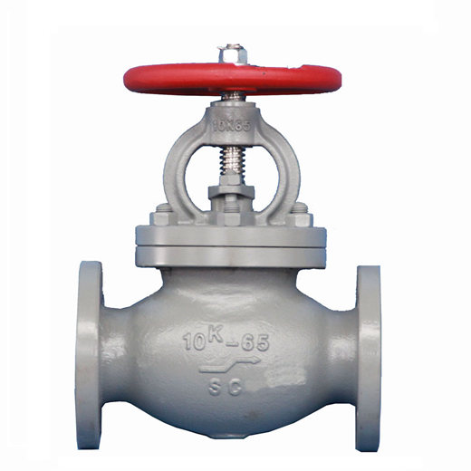 screw-down check globe valve