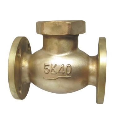 check angle valve