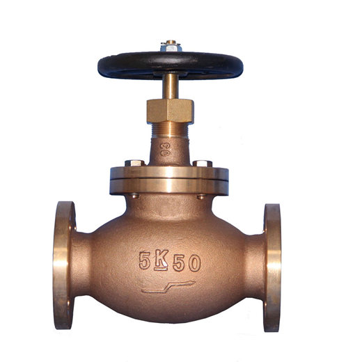 globe valve