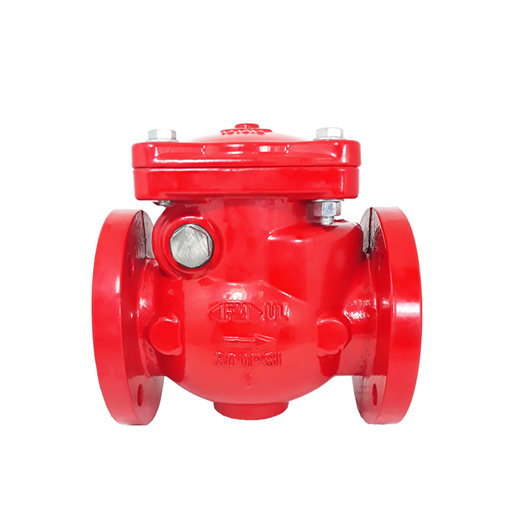 Swing Check Valve