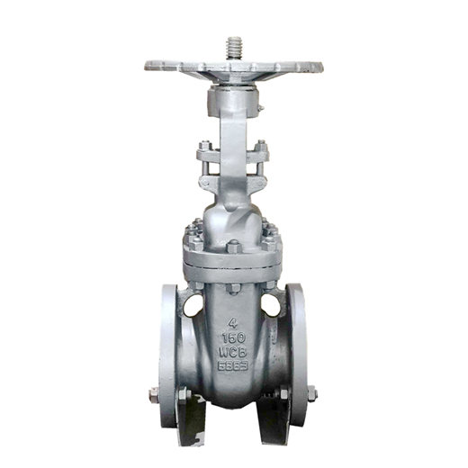 Cast Steel Gate Valve