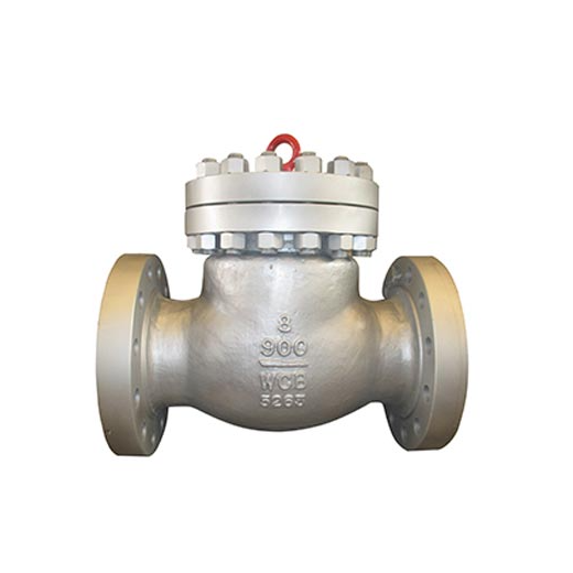 Class 600-900 Cast Steel Check Valve