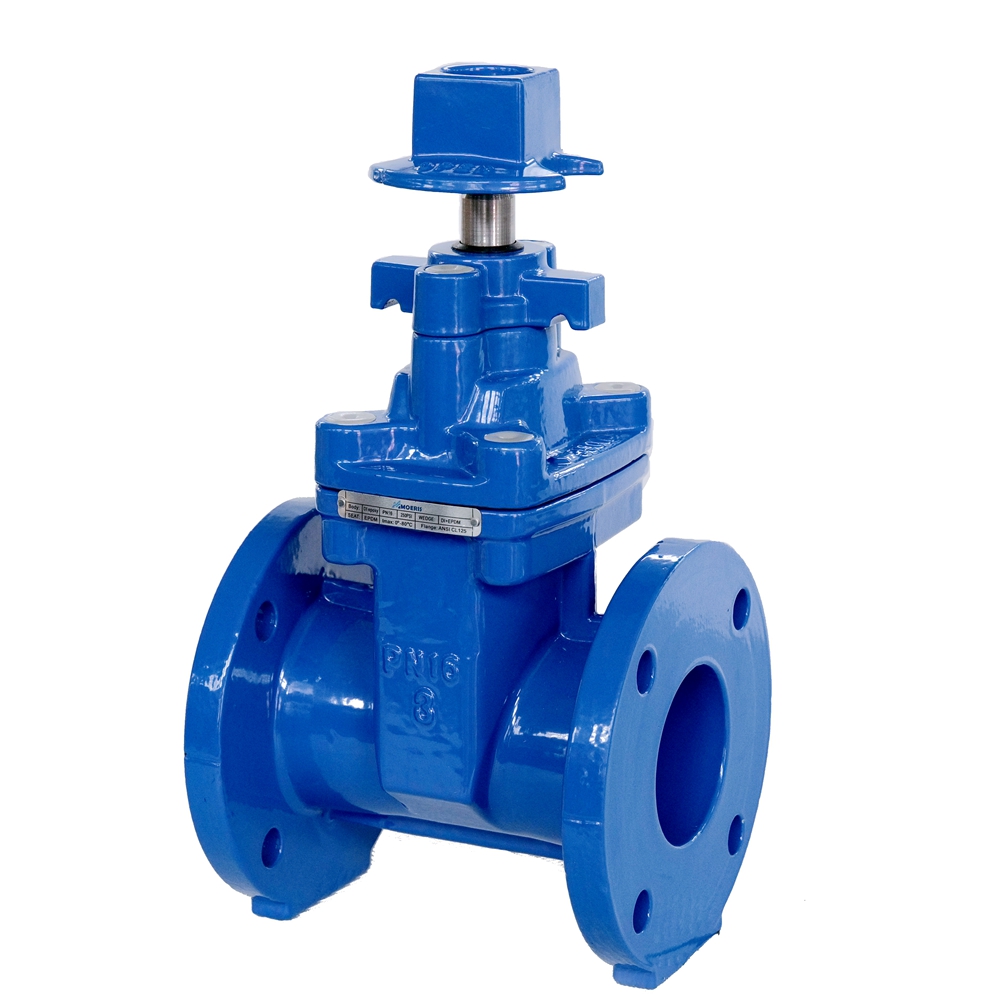 Gate Valve