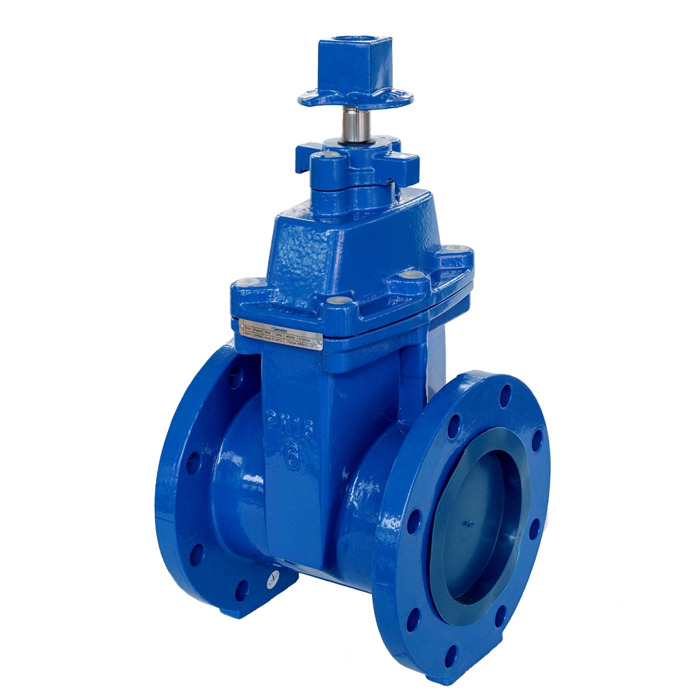 Gate Valve