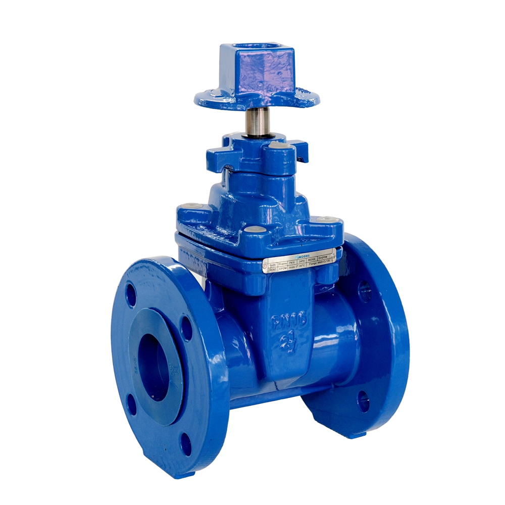 Gate Valve