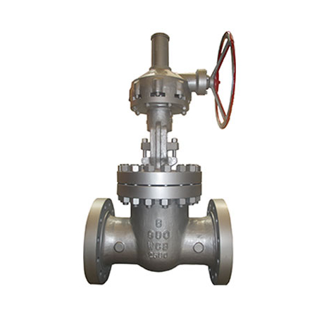 Class 900 Cast Steel Globe Valve