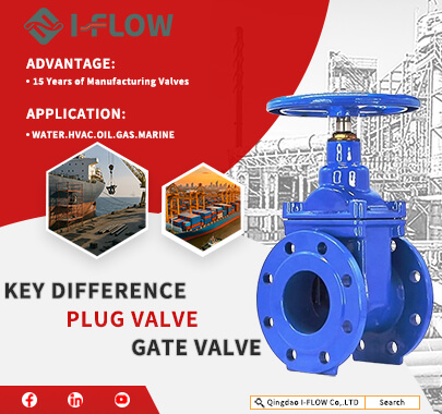 What is The Difference Between Plug Valves and Gate Valves