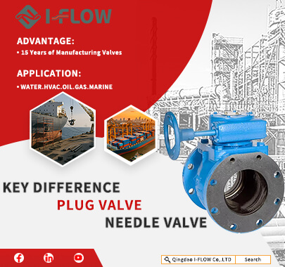 What Is The Difference Between Plug and Needle Valve