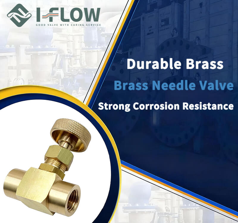 What Is The Needle Valves Used in Piping